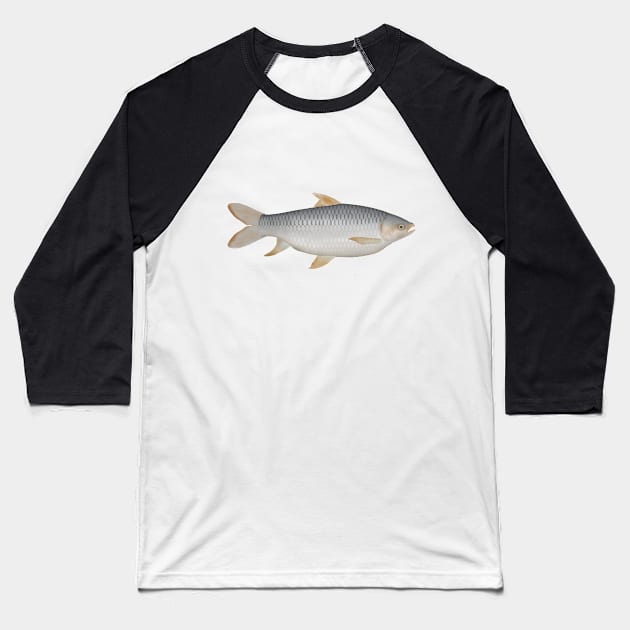 Hoven's Carp Baseball T-Shirt by FishFolkArt